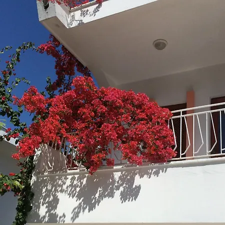 Flower Resort Kemer