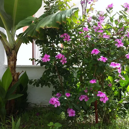 Flower *